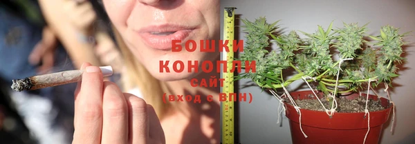 ПСИЛОЦИБИНОВЫЕ ГРИБЫ Алексеевка