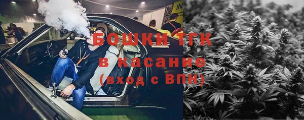 ПСИЛОЦИБИНОВЫЕ ГРИБЫ Алексеевка