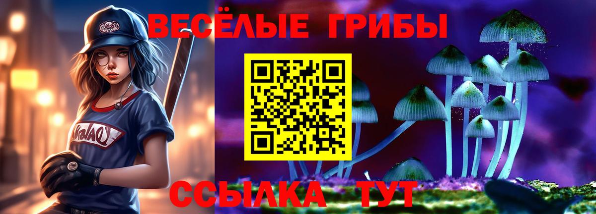 Галлюциногенные грибы GOLDEN TEACHER  Вход с VPN  купить  сайты  Мегион 